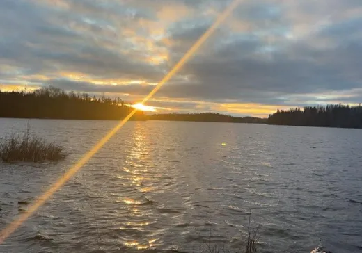 Terrain à vendre -  Ch. Jeness, Mont-Laurier, J0W 1W0