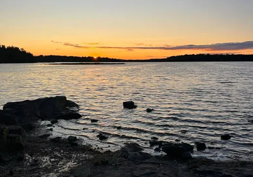 Terrain à vendre -  Ch. Jeness, Mont-Laurier, J0W 1W0