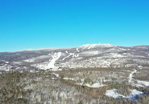 Terrain à vendre -  Ch. des Ancêtres, Mont-Tremblant, J8E1Z5