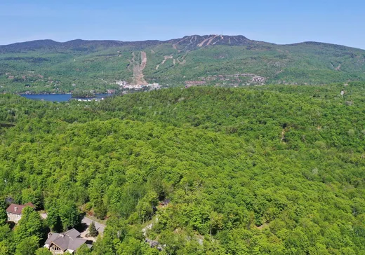 Terrain à vendre -  Ch. des Ancêtres, Mont-Tremblant, J8E 1Z5