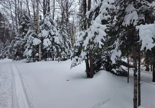 Terrain à vendre -  4e Rang, Saint-Calixte, J0K1Z0