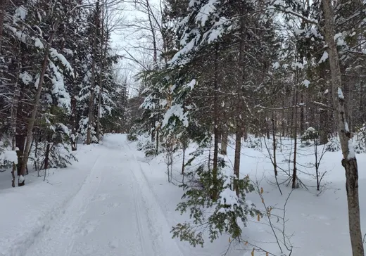 Terrain à vendre -  4e Rang, Saint-Calixte, J0K 1Z0