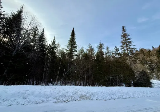 Terrain à vendre -  Ch. de l'Air-Pur, Val David, J0T 2N0