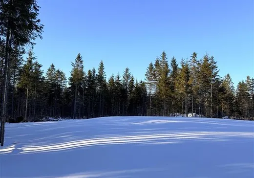 Land for sale - 9885 Ch. Baillargeon, Lac-Mégantic, G0Y1G0