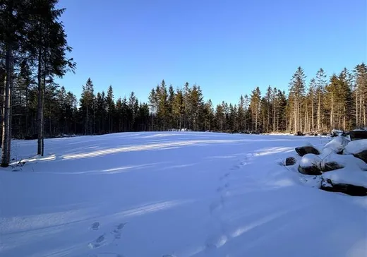 Land for Sale - 9885 Ch. Baillargeon, Lac-Mégantic, G0Y 1G0