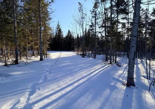 Land for Sale - 9885 Ch. Baillargeon, Lac-Mégantic, G0Y 1G0