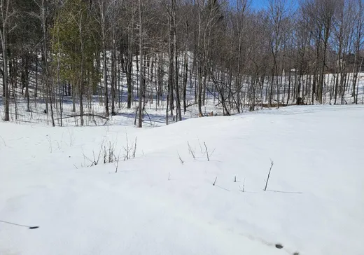 Land for Sale -  Rue Émilien, Lachute, J8H 0T1