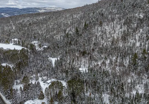 Terrain à vendre -  Route 125 N., St-Donat-De-Montcalm, J0T 2C0