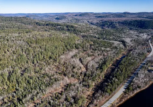 Terrain à vendre - 2560 Route Ducharme, Saint-Roch-de-Mékinac, G0X 2E0