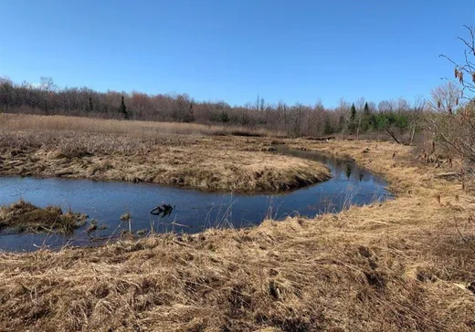 Terrain à vendre - 501 11ème rang, Ville de Québec, J0H 1E0