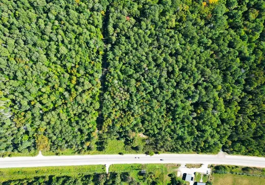 Terrain à vendre - 164 Ch. du Lac-Cayamant, Gracefield, J0X 1W0