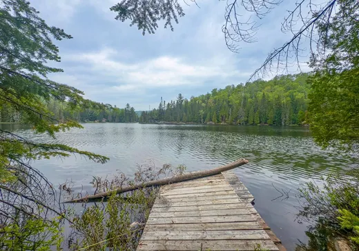 Terrain à vendre - 870 Rue du Pacifique, Val David, J0T 2N0