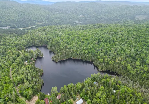 Terrain à vendre - 870 Rue du Pacifique, Val David, J0T 2N0