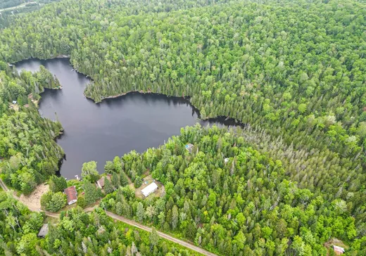 Terrain à vendre - 870 Rue du Pacifique, Val David, J0T 2N0