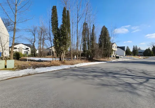 Land for Sale - 12 Av. Morgan, Sainte-Anne-de-Bellevue (Montreal Island), H9X 0C1