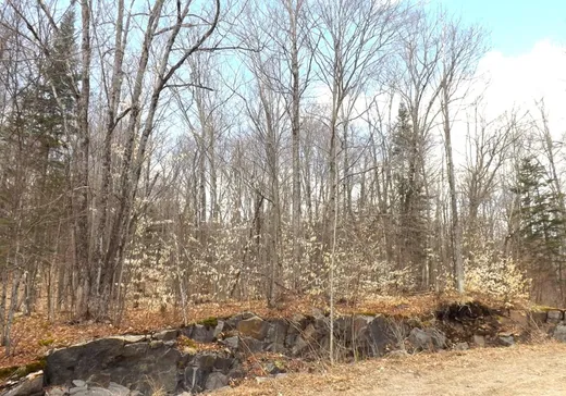 Terrain à vendre - Ch. Desgrose Ch. Desgroseilliers, Namur, J0V 1N0