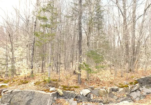 Terrain à vendre - Ch. Desgrose Ch. Desgroseilliers, Namur, J0V 1N0