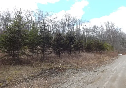 Terrain à vendre - Ch. Desgrose Ch. Desgroseilliers, Namur, J0V1N0