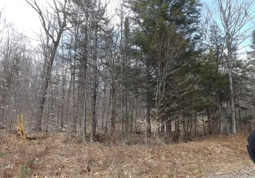 Terrain à vendre - Ch. Desgrose Ch. Desgroseilliers, Namur, J0V 1N0