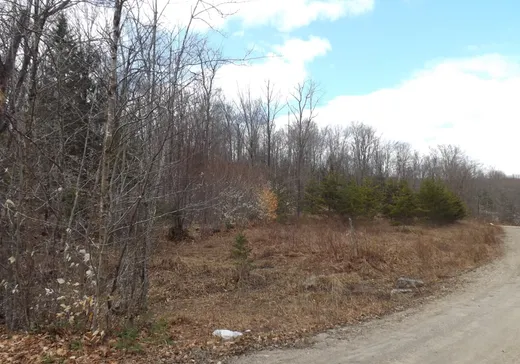 Terrain à vendre - Ch. Desgrose Ch. Desgroseilliers, Namur, J0V 1N0