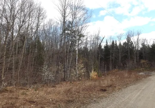 Terrain à vendre - Ch. Desgrose Ch. Desgroseilliers, Namur, J0V 1N0