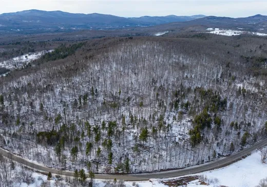 Terrain à vendre - 303 Ch. de Vale Perkins, Mansonville, J0E 1X0