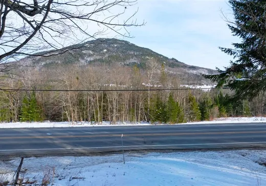 Terrain à vendre - 303 Ch. de Vale Perkins, Mansonville, J0E 1X0