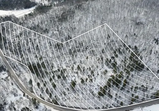 Terrain à vendre - 303 Ch. de Vale Perkins, Mansonville, J0E 1X0