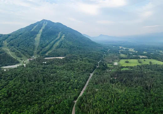 Terrain à vendre - 303 Ch. de Vale Perkins, Mansonville, J0E 1X0