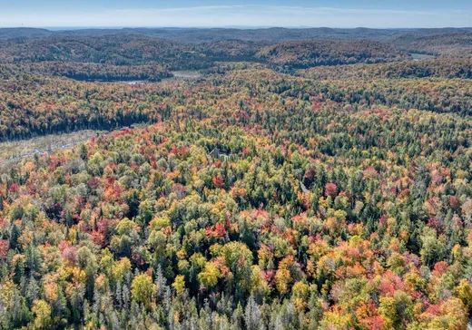 Terrain à vendre - Ch. du Lac-P Ch. du Lac-Pilon, Sainte-Adèle, J8B 1N9