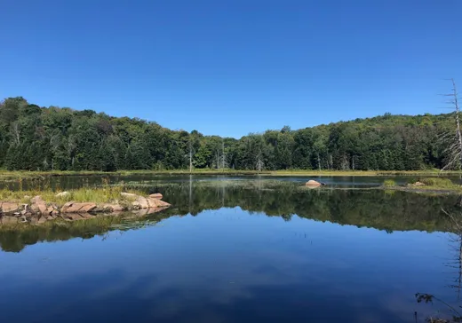 Terrain à vendre -  Ch. du Lac-Gustave, Wentworth, J0T 1Y0