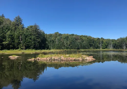 Terrain à vendre -  Ch. du Lac-Gustave, Wentworth, J0T 1Y0