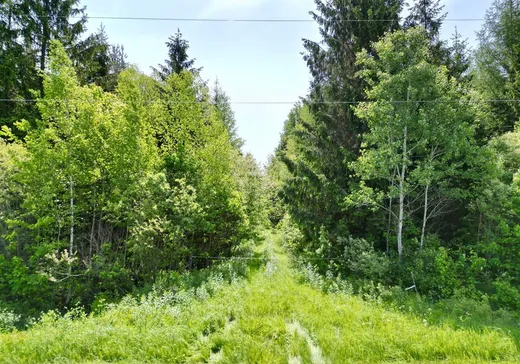 Land for sale - X Rg St-Jacques, Sainte-Sophie-de-Lévrard, G0X3C0