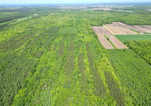 Land for Sale - X Rg St-Jacques, Sainte-Sophie-de-Lévrard, G0X 3C0