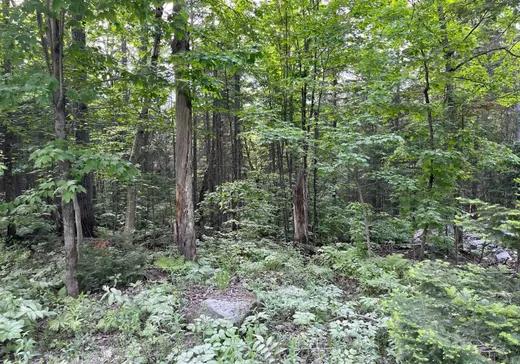 Terrain à vendre -  Ch. du Val-des-Monts, St-Adolphe d'Howard, J0T 2B0