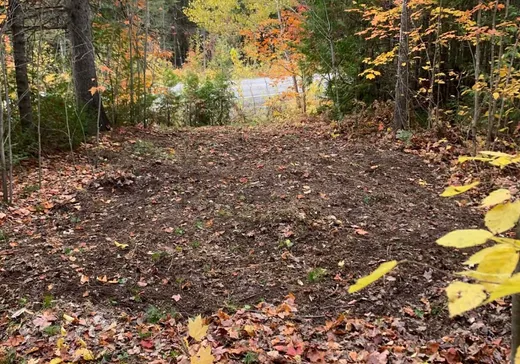 Terrain à vendre -  Ch. du Lac-Gratten, Rawdon, J0K 1S0