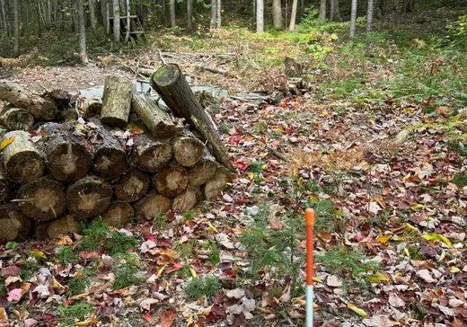 Terrain à vendre -  Ch. du Lac-Gratten, Rawdon, J0K 1S0