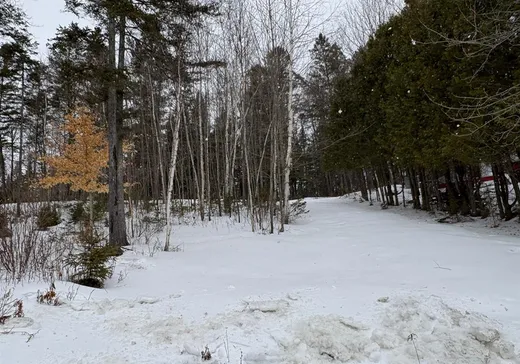 Land for Sale - 1171B Ch. Ste-Marie, Lac-aux-Sables, G0X 1M0