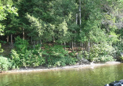 Terrain à vendre - 39 Ch. du Flood, Lac-du-Cerf, J0W 1S1