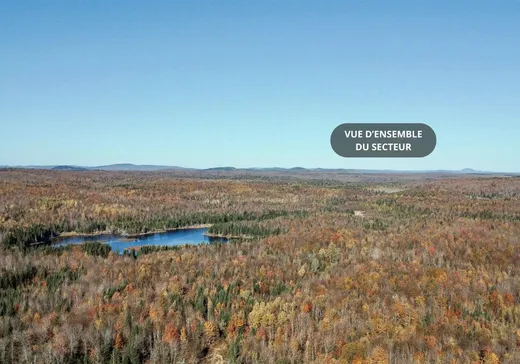 Land for sale - 141 Ch. Gosford S., Weedon, J0B3J0