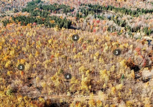 Land for Sale - 141 Ch. Gosford S., Weedon, J0B 3J0