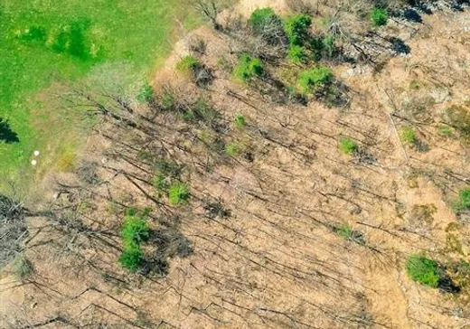 Land for Sale - 1614 Route 105, Wakefield, J9B 1P4