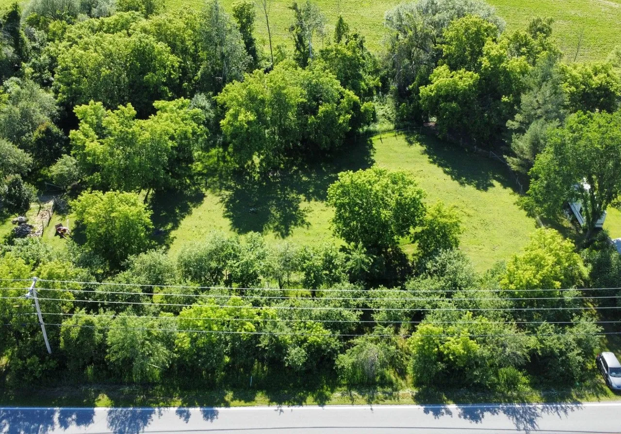 Route 203 — photo 1