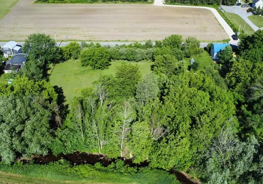 Terrain à vendre -  Route 203, Havelock, J0S 2C0