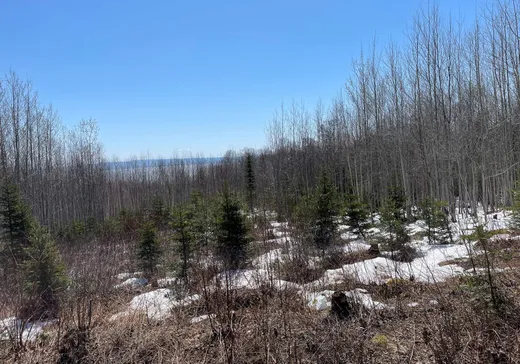 Terrain à vendre -  Rue Principale, Petite-Riviere-St-François, G0A2L0