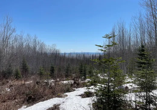 Terrain à vendre -  Rue Principale, Petite-Riviere-St-François, G0A 2L0