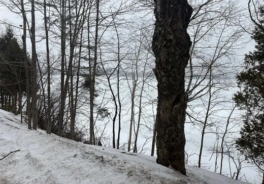 Land for sale - 1171A Ch. Ste-Marie, Notre-Dame-de-Montauban, G0X1W0