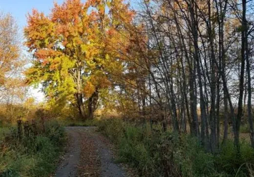 Land for Sale - 1590Z Ch. Louis-Gatineau, Yamachiche, G0X 3L0