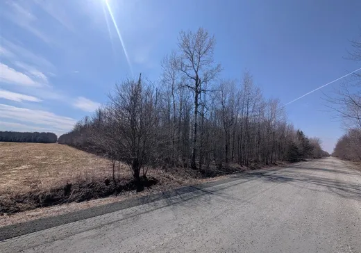 Terrain à vendre - 783Z 4e Rang, Sainte-Christine, J0H 1H0