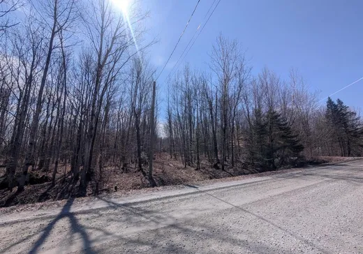 Terrain à vendre - 783Z 4e Rang, Sainte-Christine, J0H 1H0